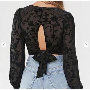 Velvet Burnout Crop Top Long Sleeve Womens Sz Medium Goth Whimsigoth Dark Fairy